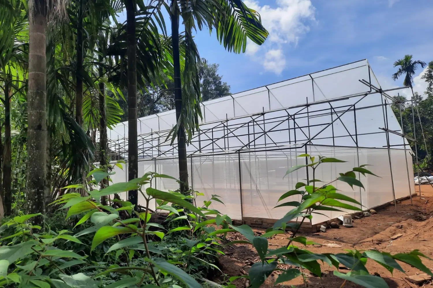 Green house