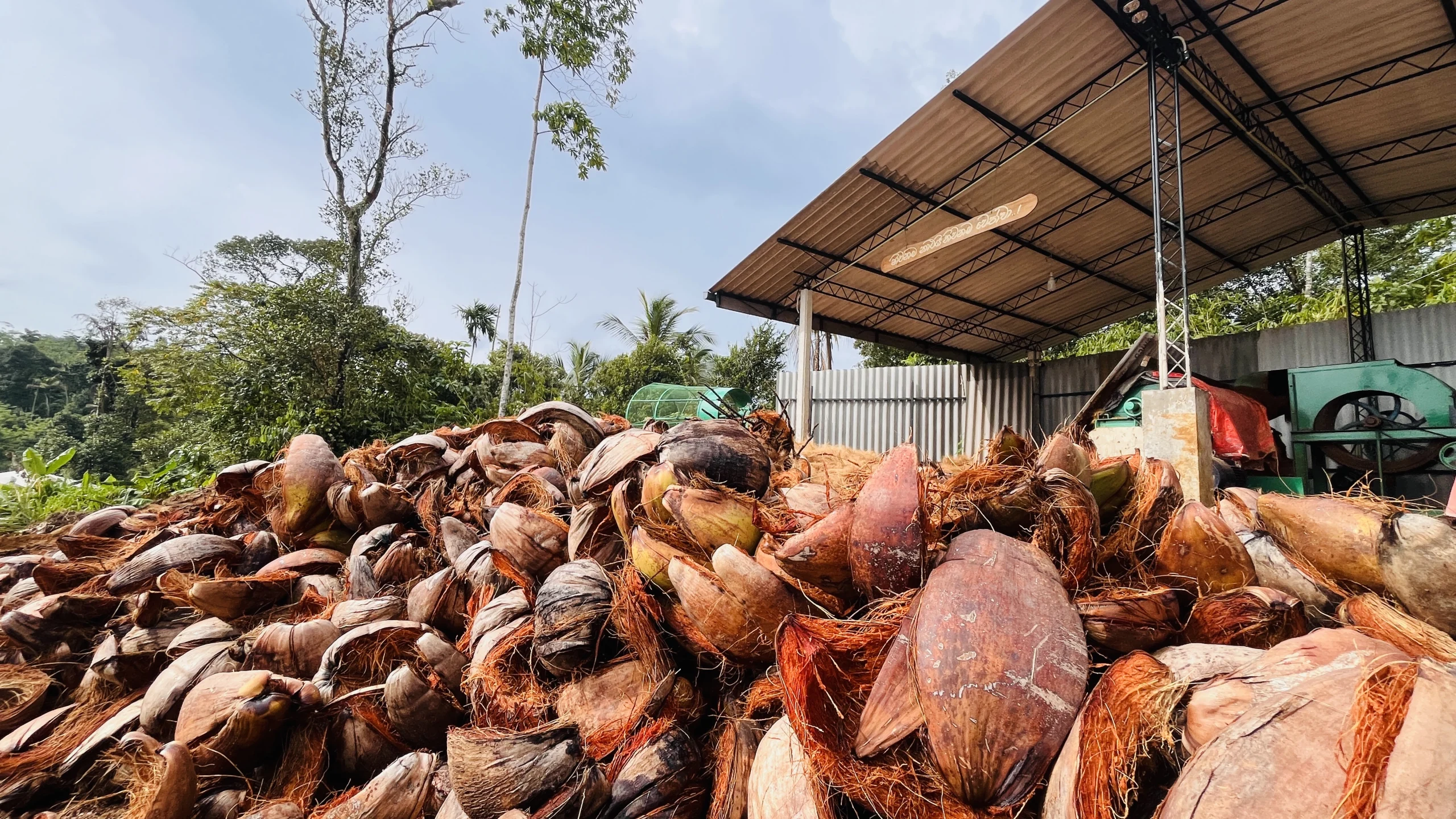 Eco farming from cocopeat