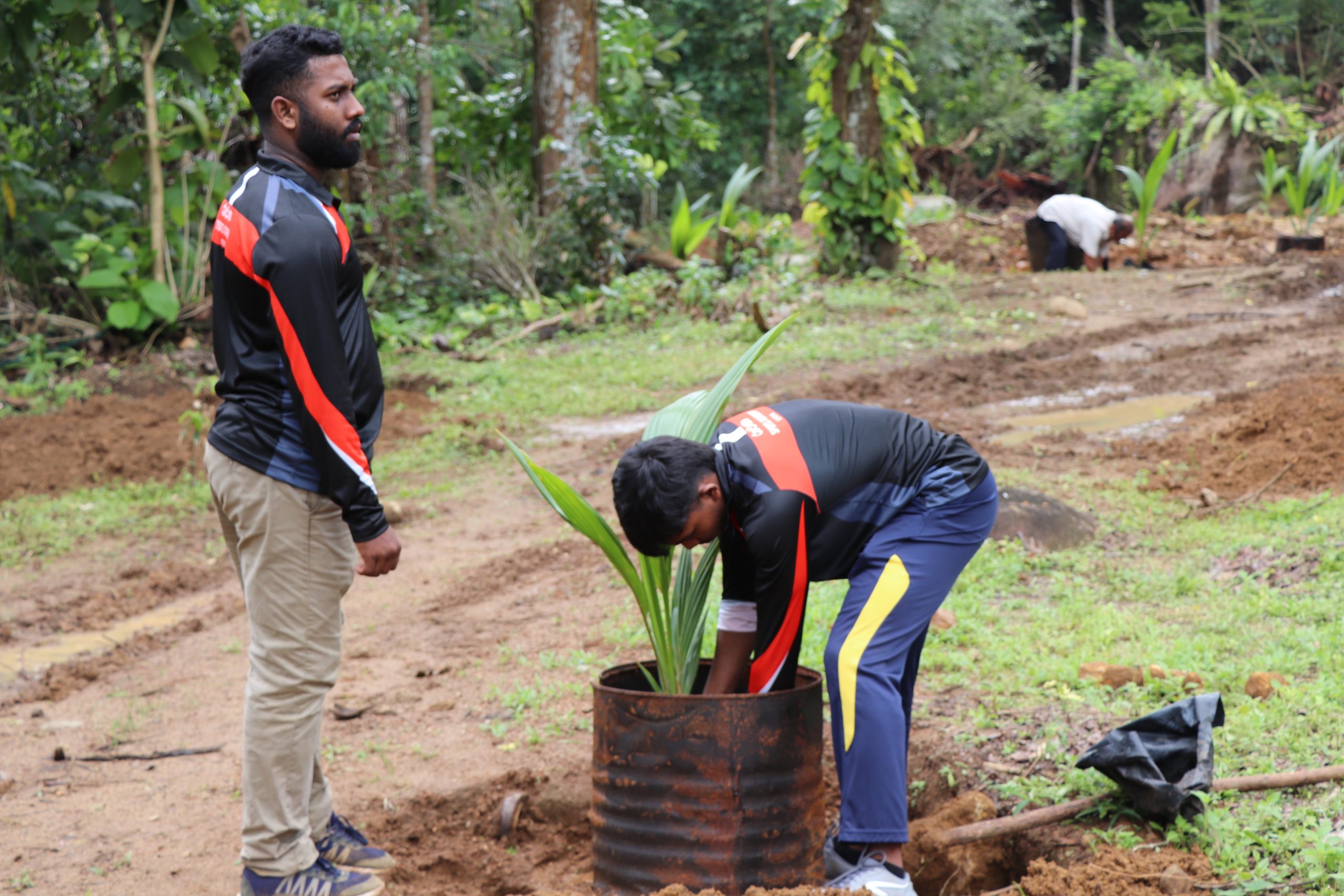 Volunteer planting a coconut sapling into soil under the Vimukthi Foundation Noble Eco Farming project in Baddegama Sri Lanka